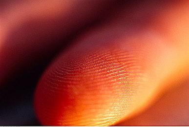 在发售七年后，《死亡细胞》最终更新现已上线